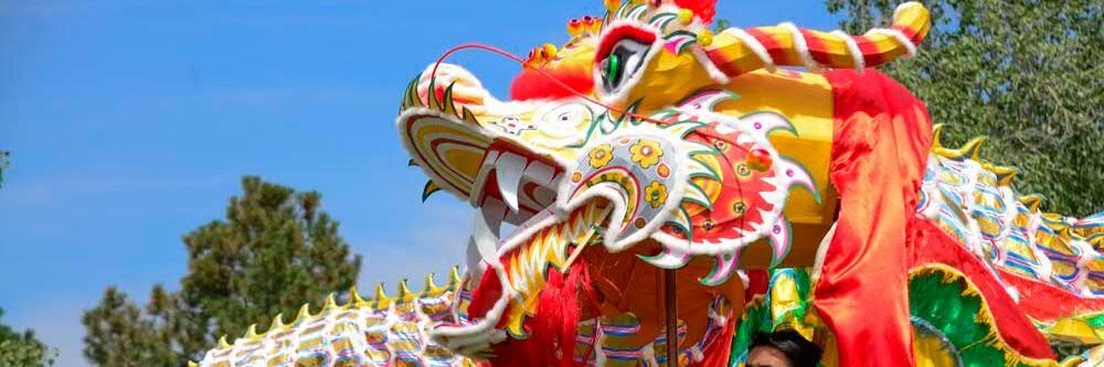 COdragonboat's profile banner image