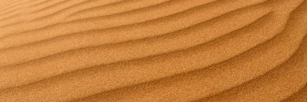 ssgrn Profile Banner