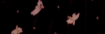 PQPQ__'s profile banner image