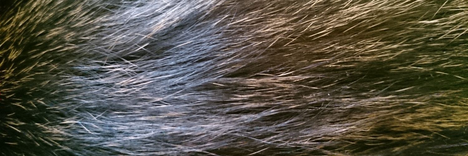 aliyaspb's profile banner image