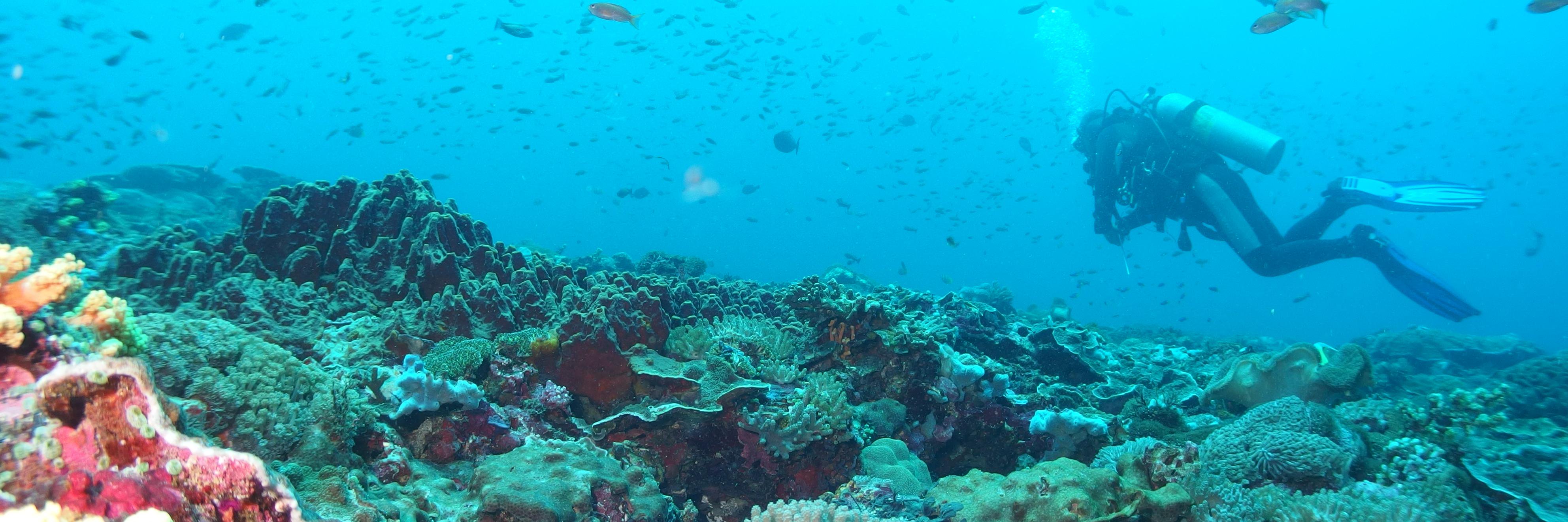 diver_sensui's profile banner image