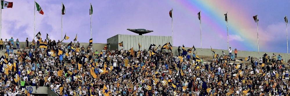 Carlitos.'s banner