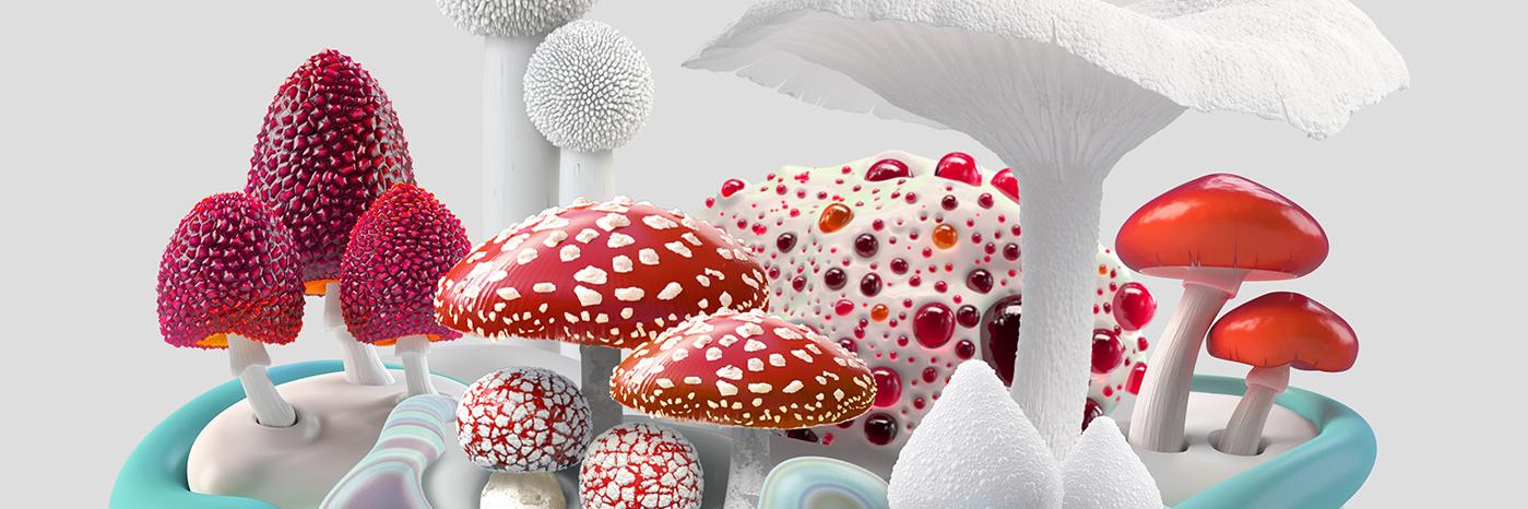 Jericó Santander banner