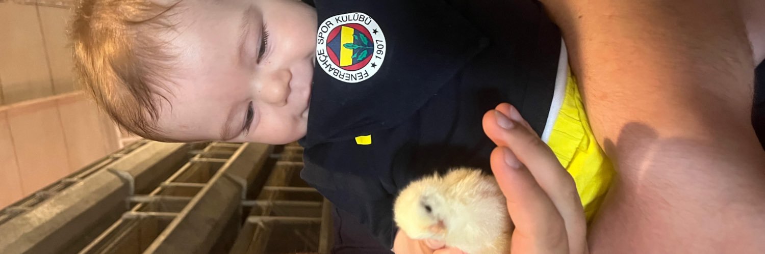 Hayati Tezcan ☇ banner