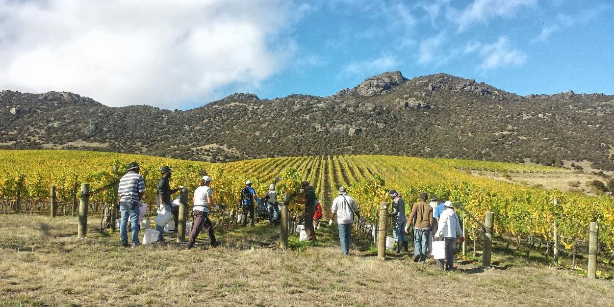 Prophet's Rock banner