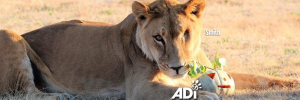 AnimalDefenders Profile Banner