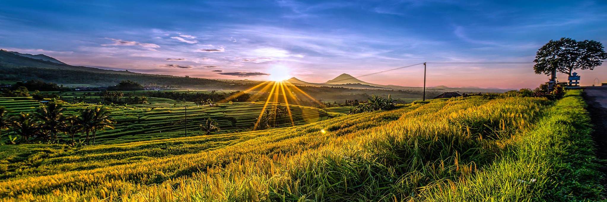 sican_cs's profile banner image