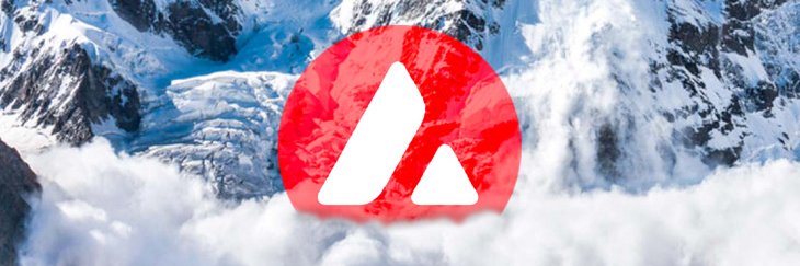 AVAX Daily News 🔺 banner