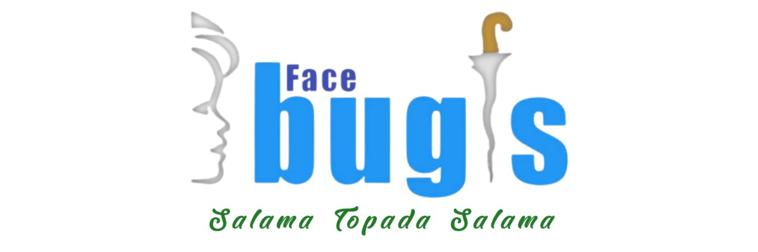facebugis's profile banner image