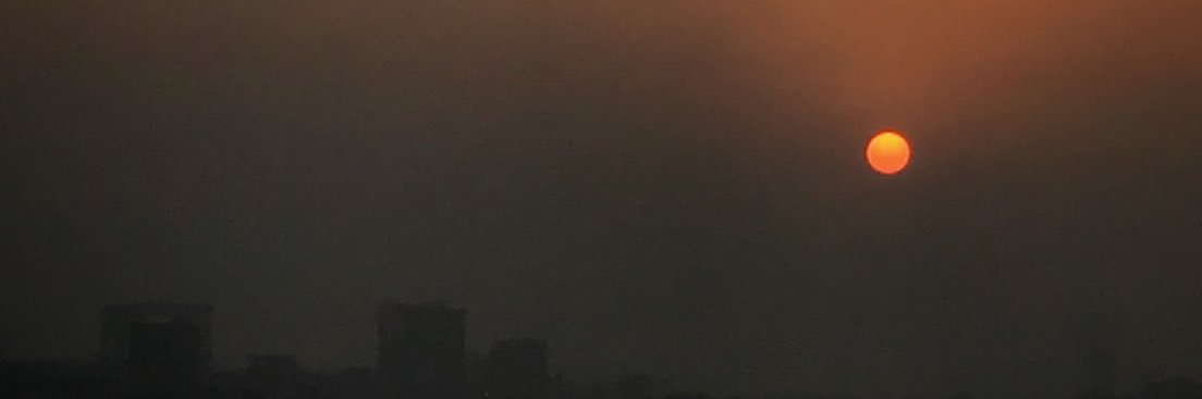 Bernice Aspillaga banner