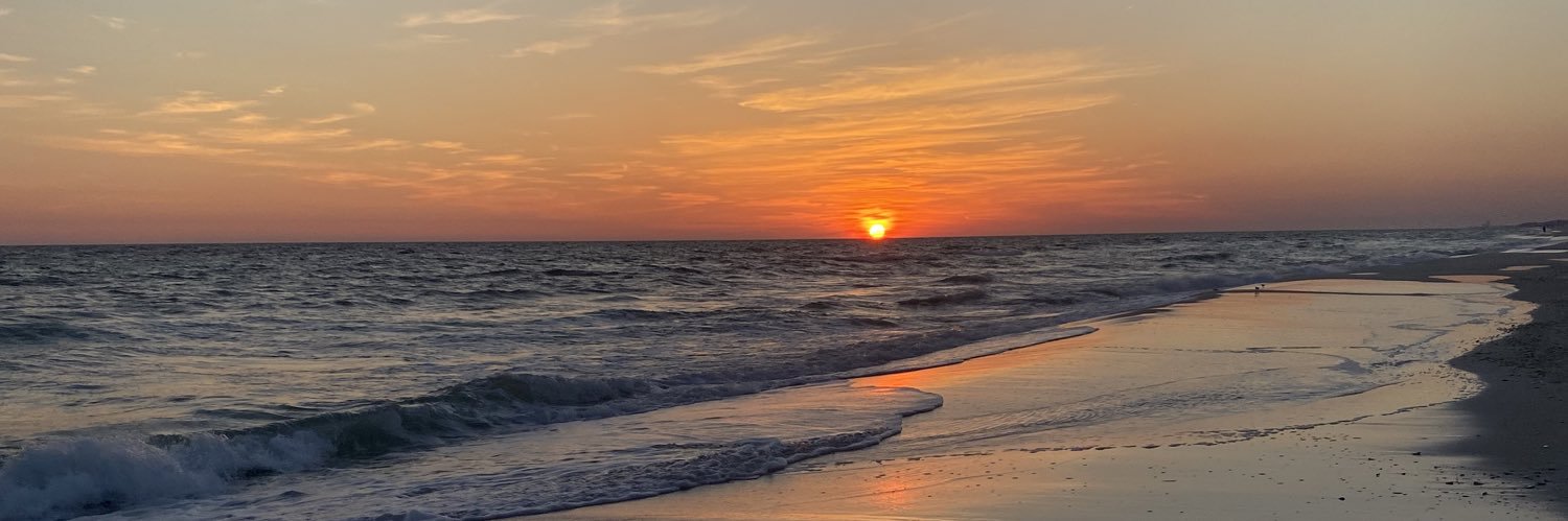 carlee_dianee's profile banner image