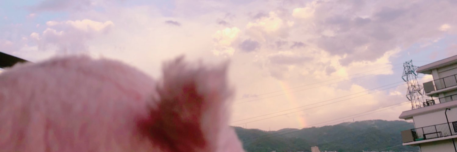 36maimai's profile banner image