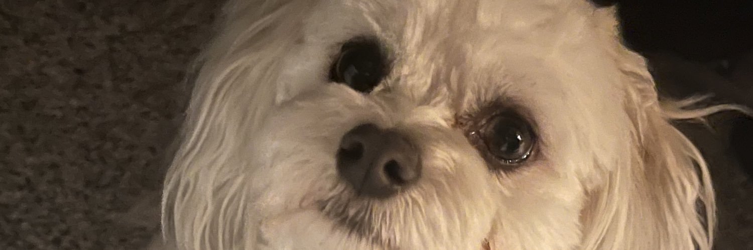 JakeJNoll's profile banner image