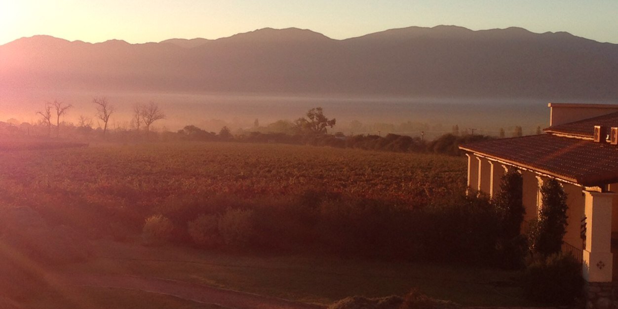 Cheryl Sorenson banner