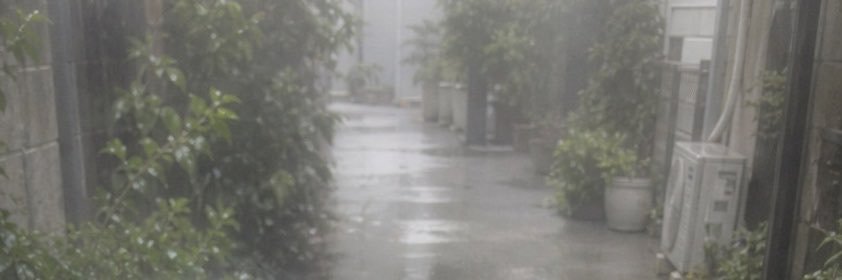 marie0946's profile banner image