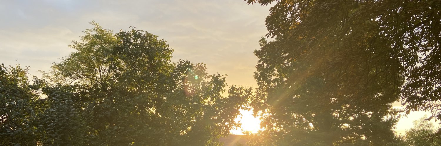 Anielah's profile banner image