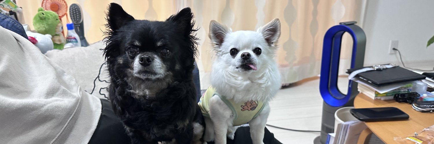 そぼろ（Instagram:hdf_photo） banner