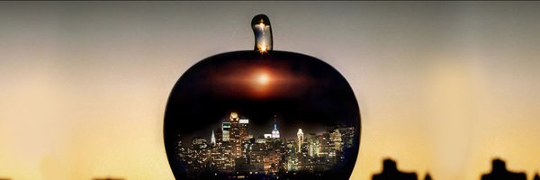 ArielPalitz Profile Banner