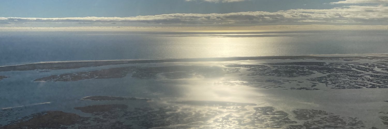 Rui Virgínia banner