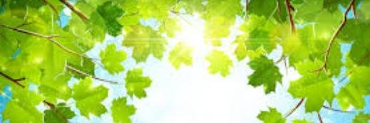 SH209_'s profile banner image