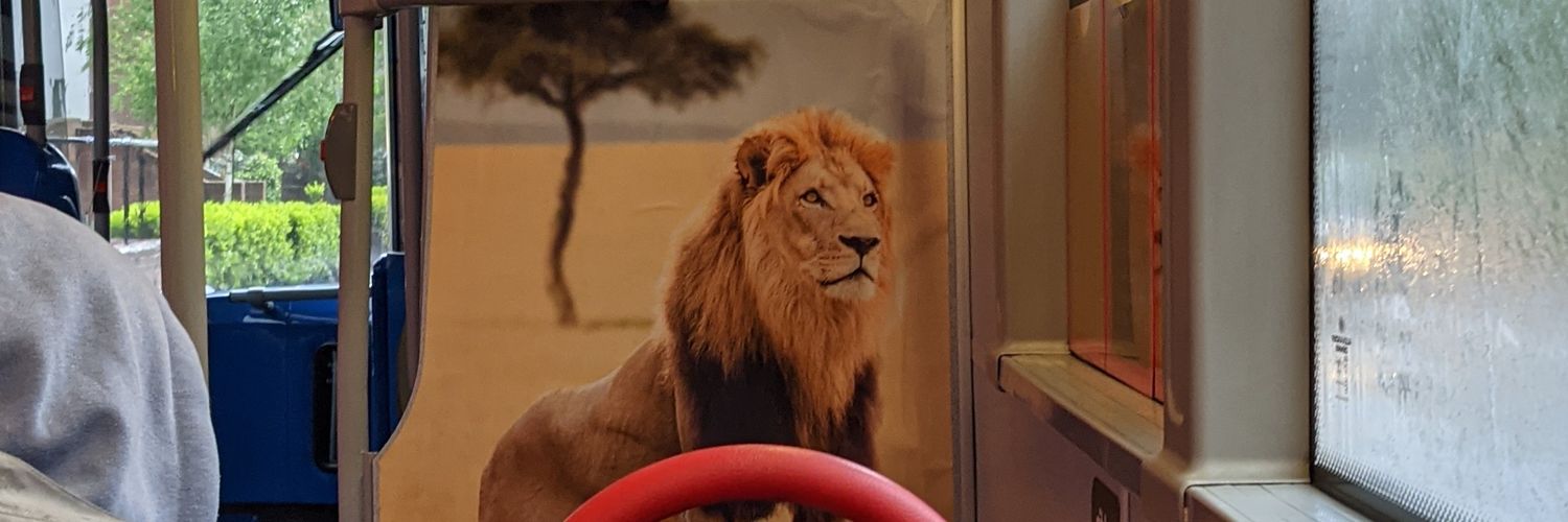 BlockyLion's profile banner image