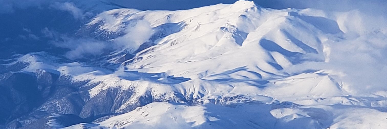 Larry McDonald banner