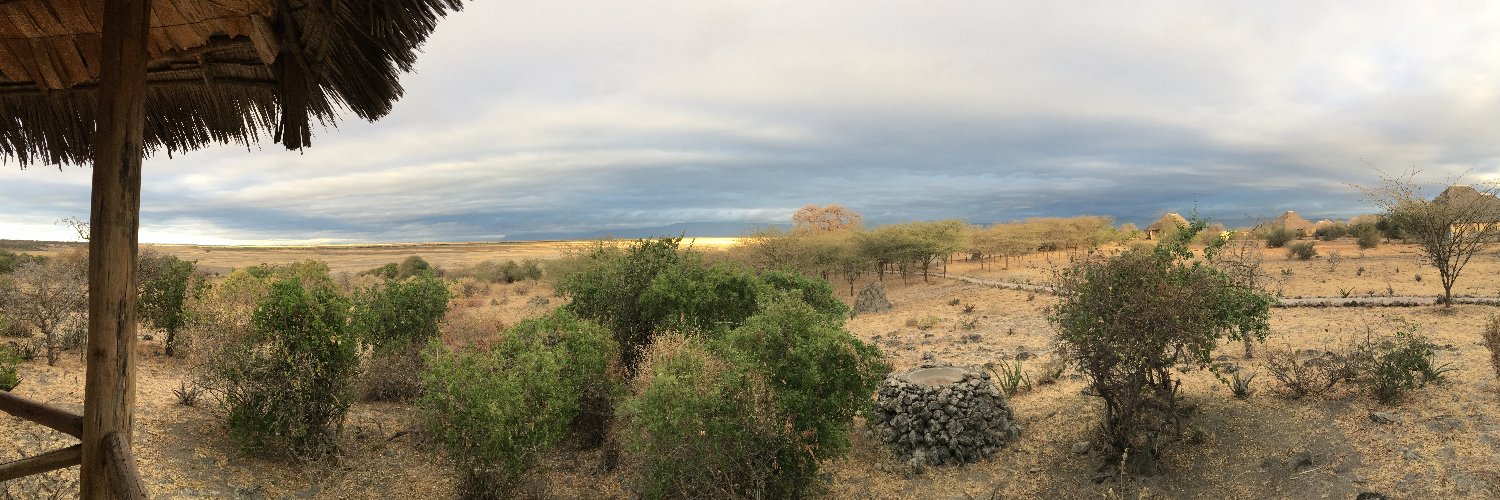 sibylle vincendon banner