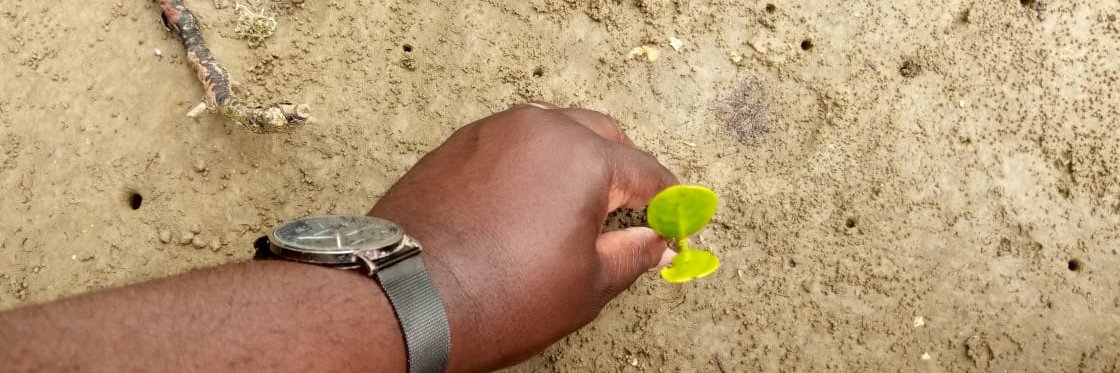 KellyRoberts Banda LLB banner