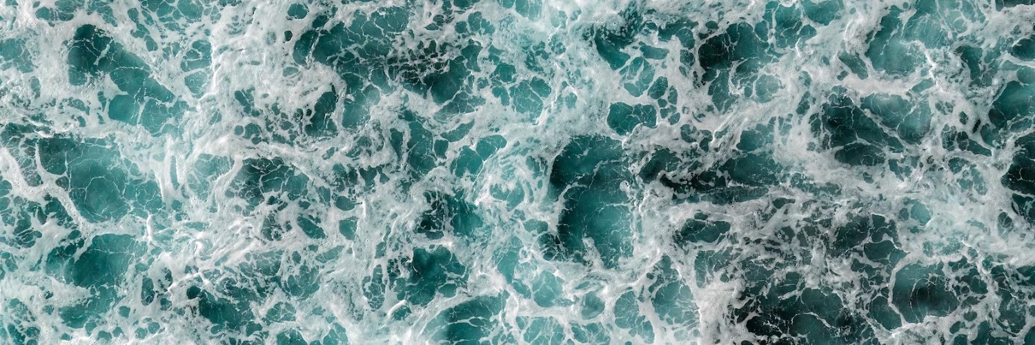 Beautiful Voyager banner