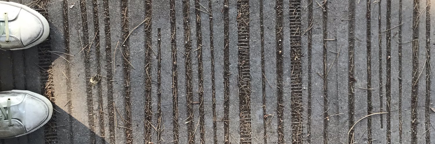 Romy Rawlings banner