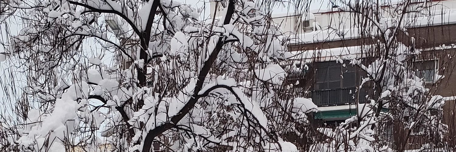 NavarroLaura78's profile banner image