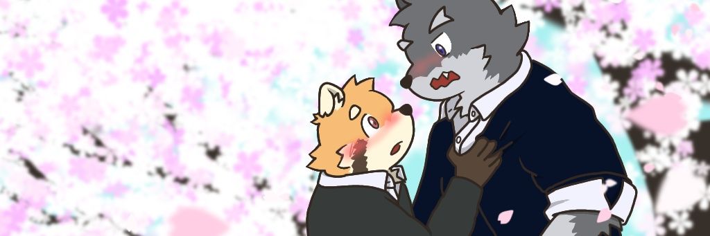 036021K's profile banner image