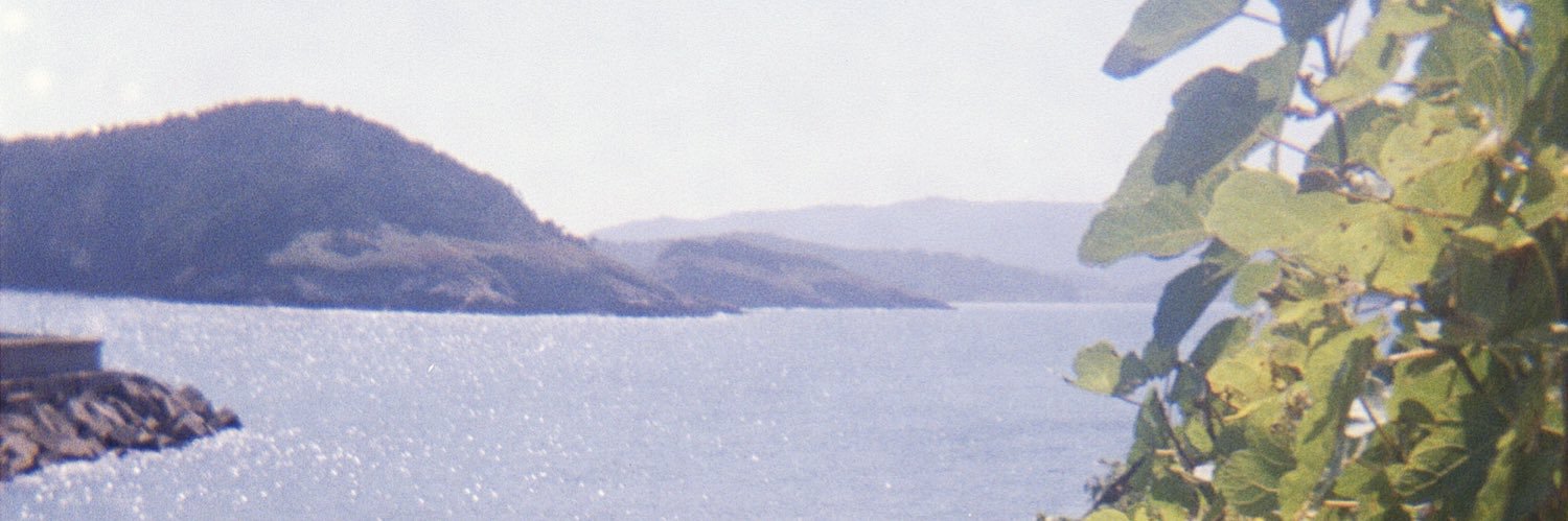 rodri banner