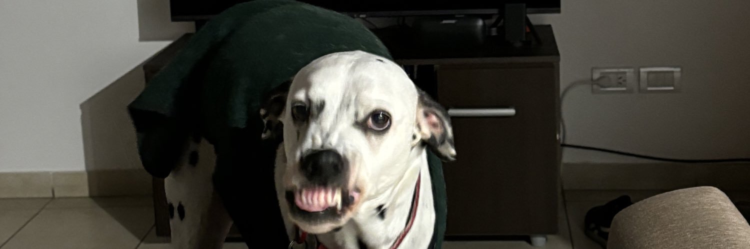 Paufgil's profile banner image
