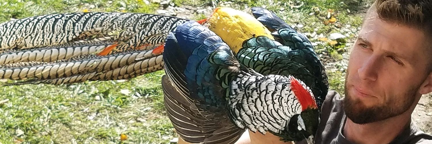 AndrewKowalyk's profile banner image