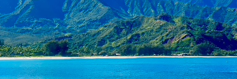 Stephen Roseberry banner