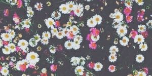 ManoonS_'s profile banner image