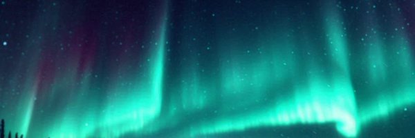 loyal_north Profile Banner