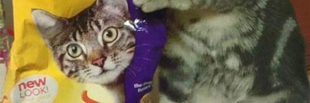 seqcat's profile banner image