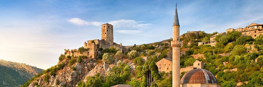 Freya Cumberlidge banner