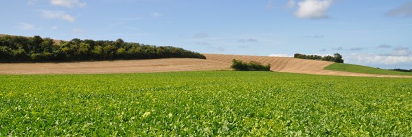 ITBetterave Profile Banner