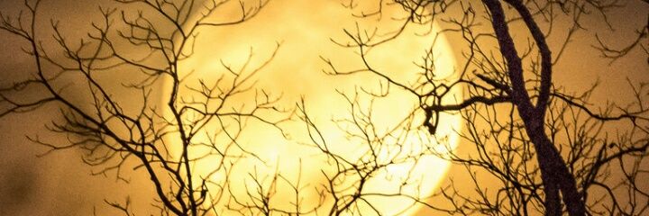 Ali12466's profile banner image