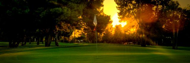 reg_vanvelzen's profile banner image