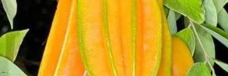 haiwenye's profile banner image