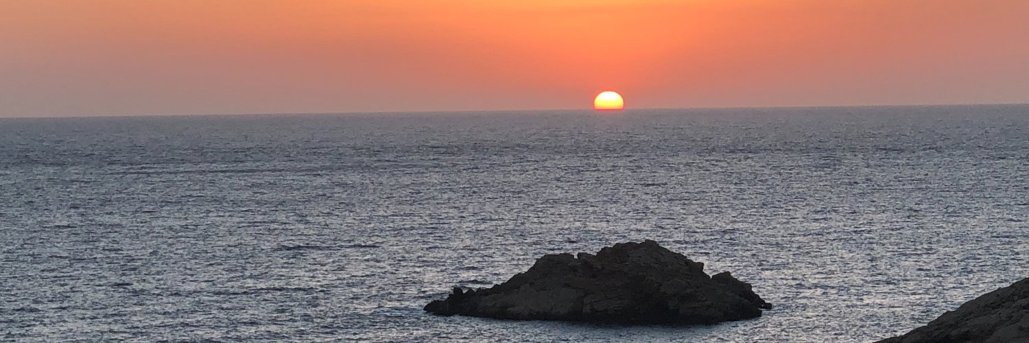 pedro_slm's profile banner image