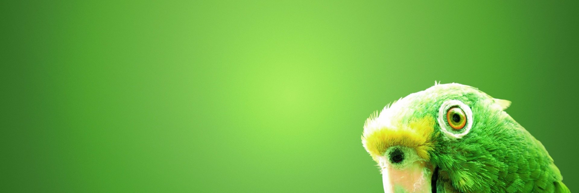 erictnz's profile banner image
