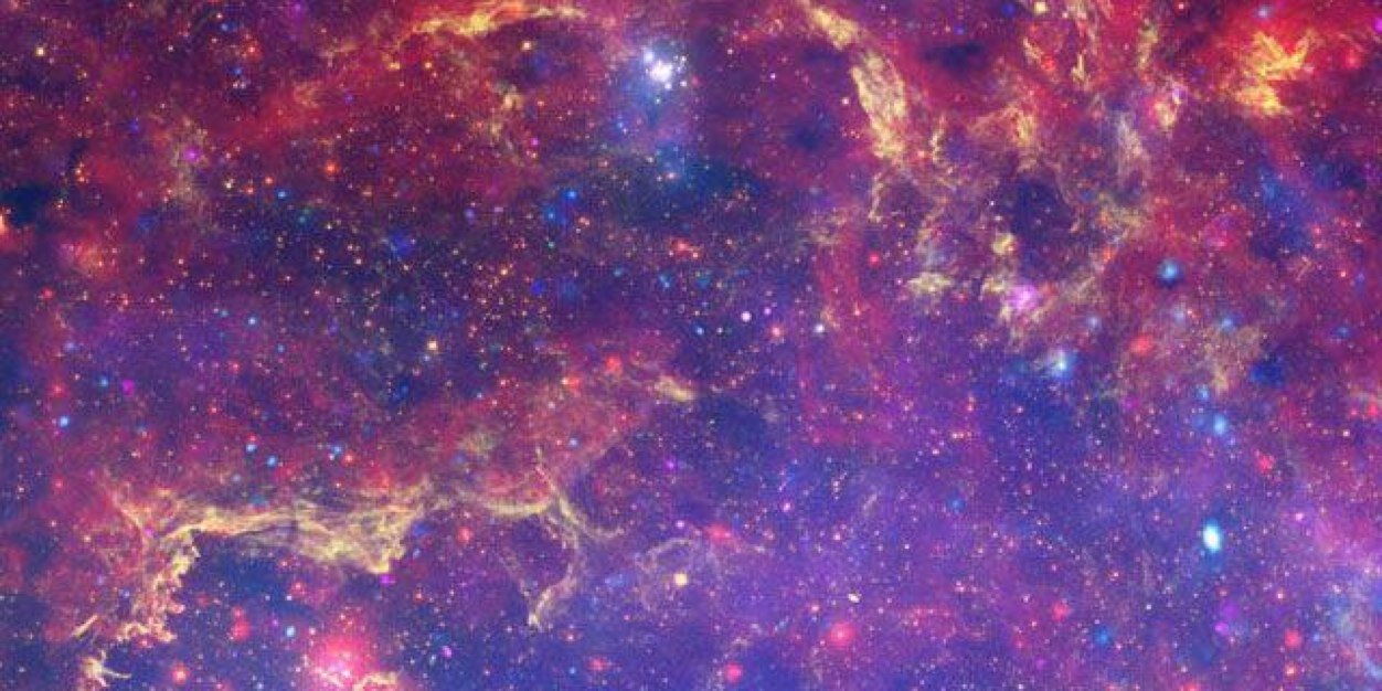 eve_meyerowitz's profile banner image