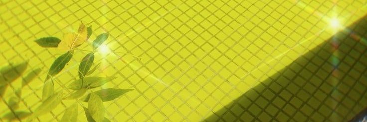 MagicReo's profile banner image