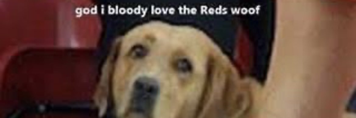 AJ banner