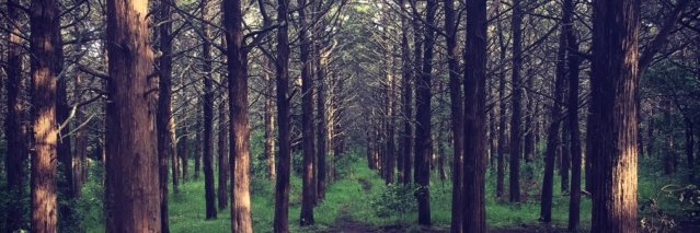drewprice11's profile banner image